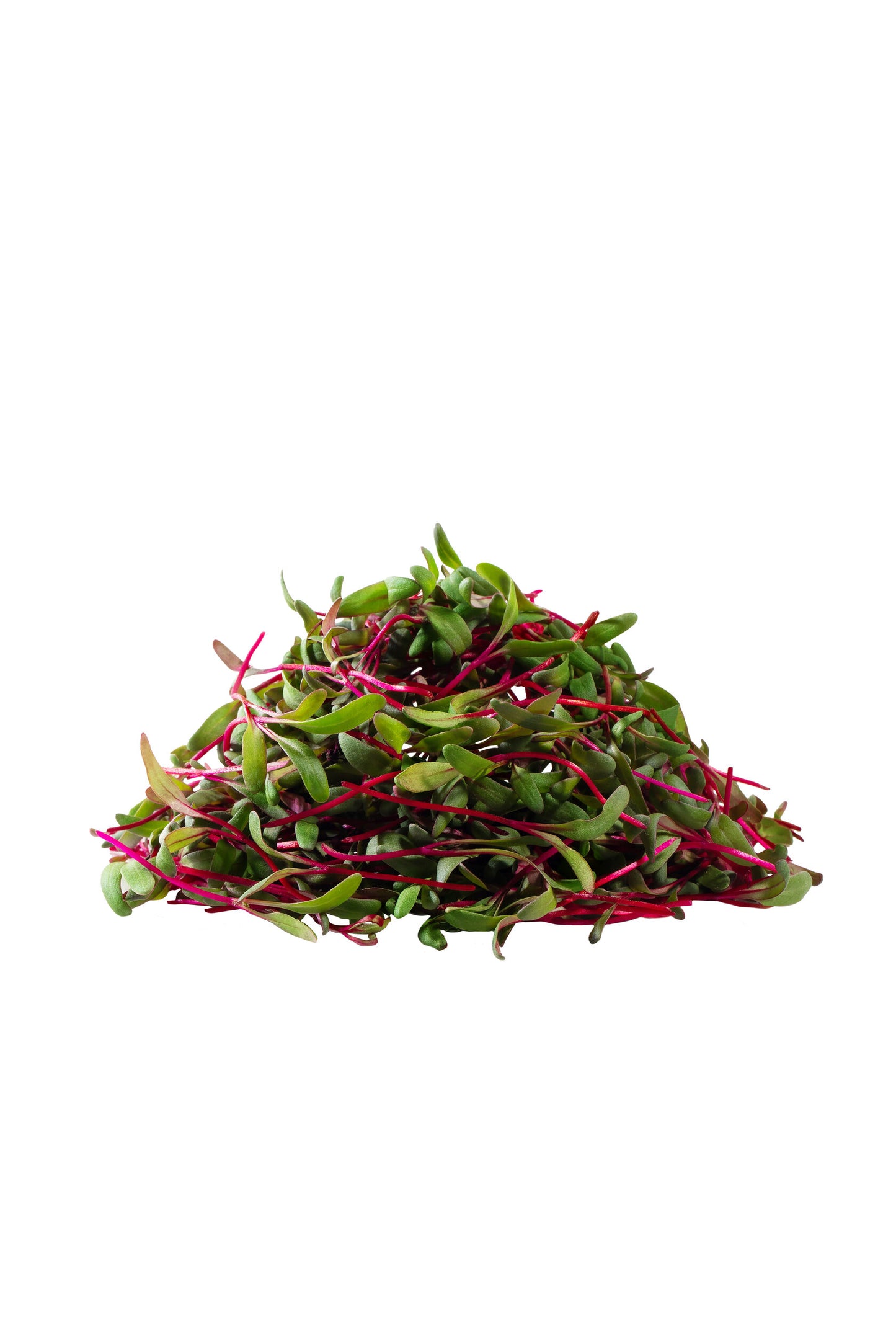 beetroot - microgreens