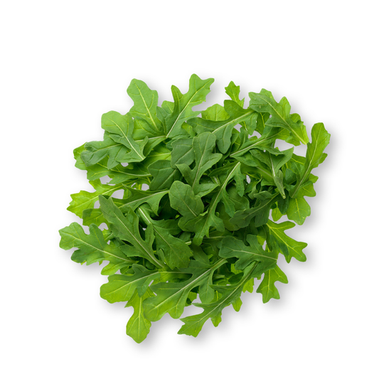 Arugula - microgreens