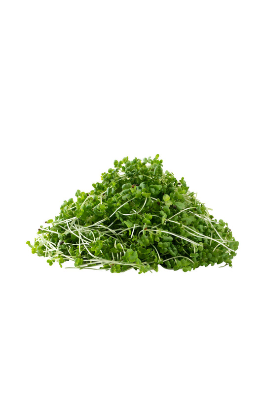 kale - microgreens