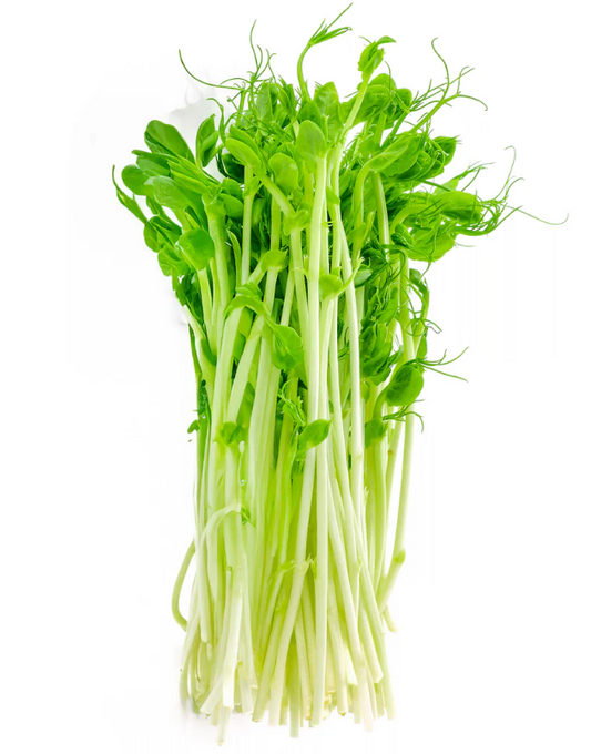pea shoots - microgreens